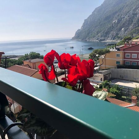 Il Sogno Di Contardi A Affittacamere Monterosso al Mare Exterior photo